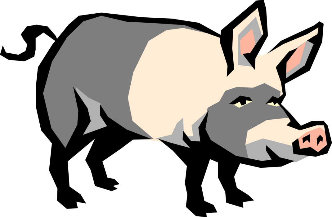 Vector Illustration of Farm Agriculture Livestock Animal Pig Hog Swine Porker (Aspires to be Bacon)