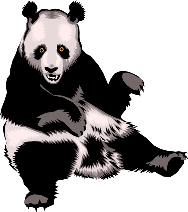 Vector Illustration of Chinese Giant Panda Bear Endangered Species Bear