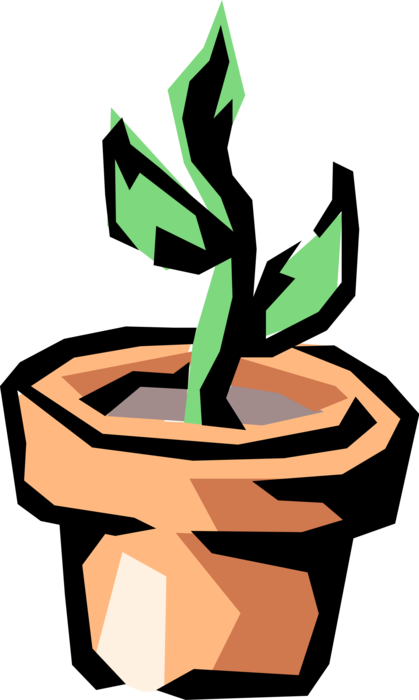 Vector Illustration of Botanical Horticulture Plant Seedling in Pot