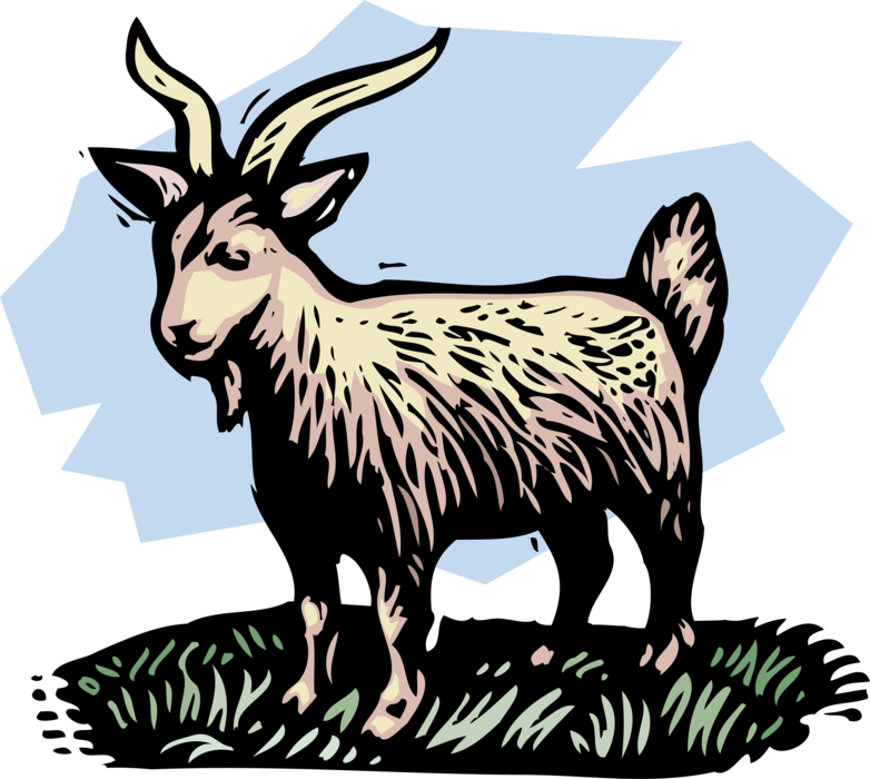 Vector Illustration of Farm Scene Livestock Billy Goat