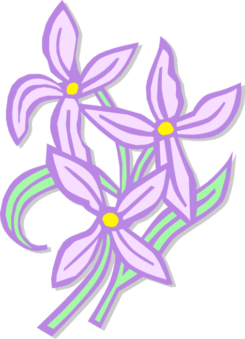 Vector Illustration of Purple Star Flowers in Garden