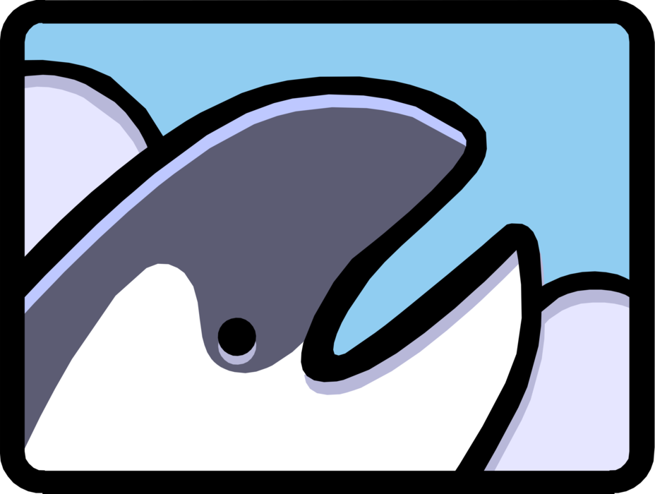 Vector Illustration of Marine Mammal Whale Head