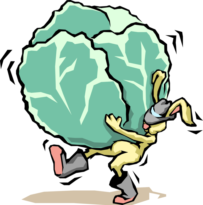 Vector Illustration of Small Mammal Rabbit Carries Heavy Cabbage