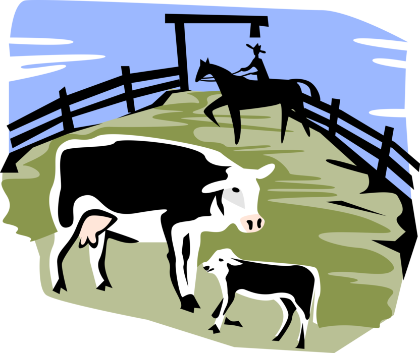 Vector Illustration of Domestic Farm Livestock Animal Cows in Corral with Cowboy on Horseback