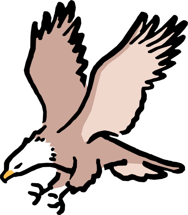 Vector Illustration of Cartoon American Bald Eagle