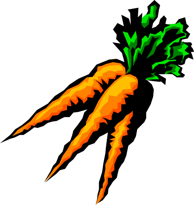 Vector Illustration of Three Garden Vegetable Carrots