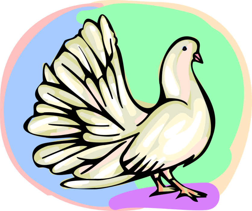 Vector Illustration of White Dove Bird with Tail Feathers Fanned