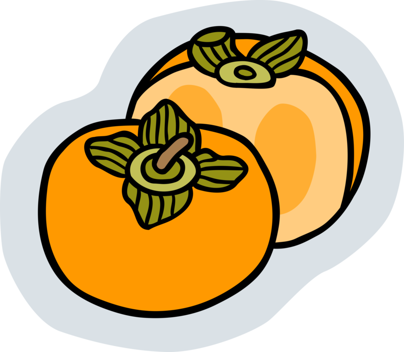 Vector Illustration of Sliced Yellow Orange Edible Fruit Persimmon