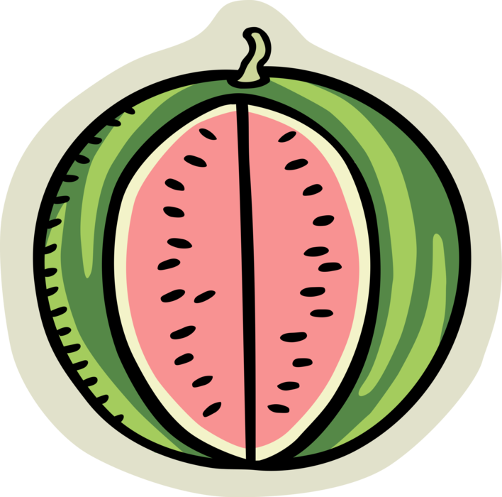 Vector Illustration of Summer Melon Watermelon Edible Fruit