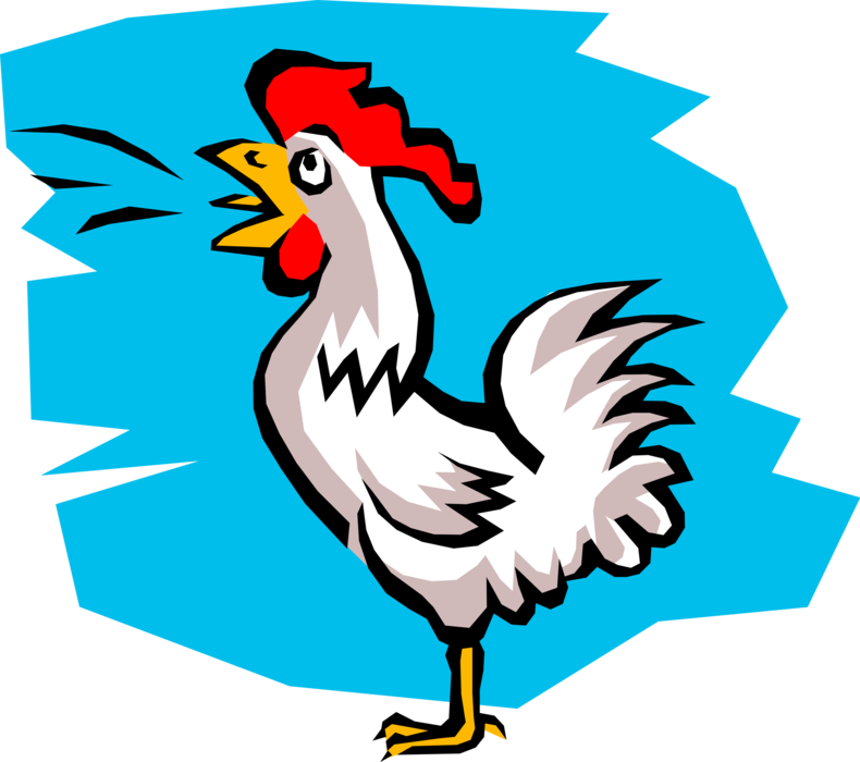Vector Illustration of Male Chicken Rooster or Cockerel Cock-a-Doodle-Doo