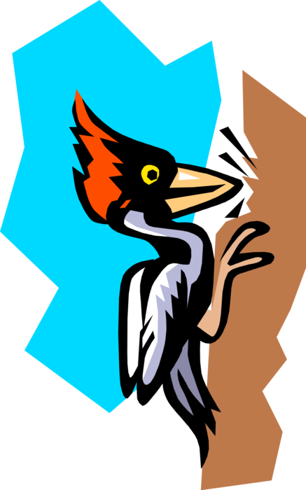 Vector Illustration of North American Red-Headed Pileated Woodpecker