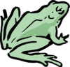 6gdyn6m4fm anim0590