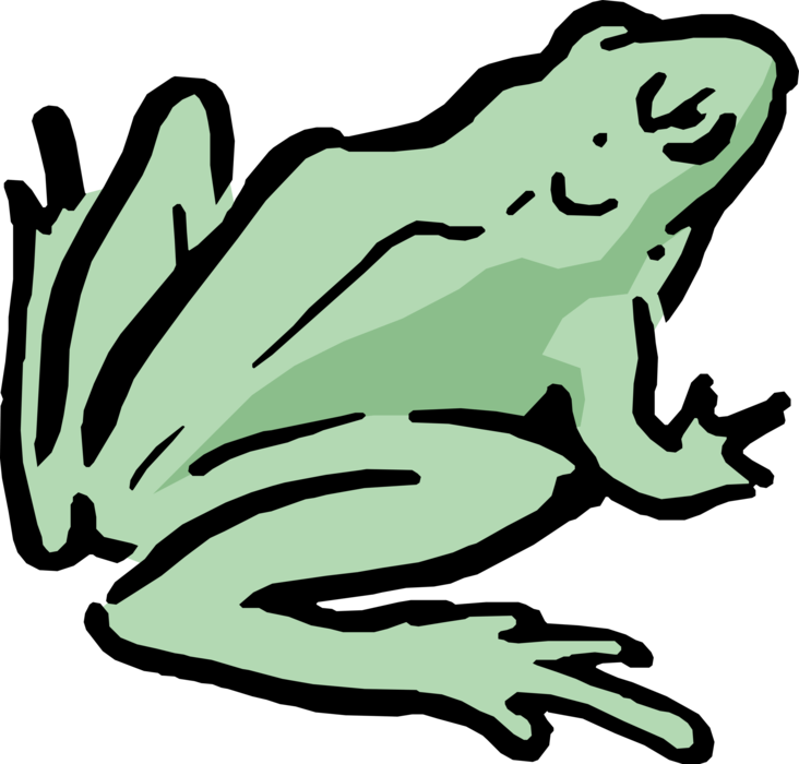 Vector Illustration of Cartoon Amphibian Green Frog 