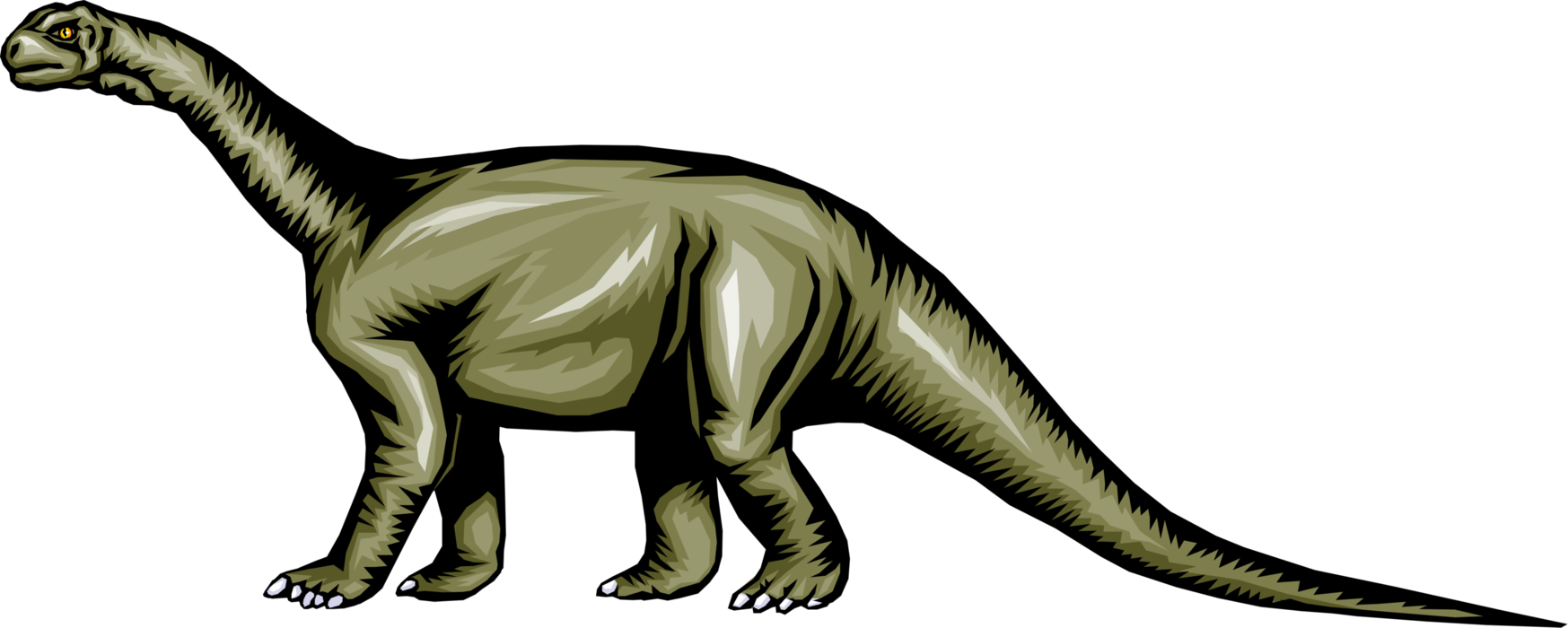 Vector Illustration of Prehistoric Brontosaurus Dinosaur from Jurassic and Cretaceous Periods