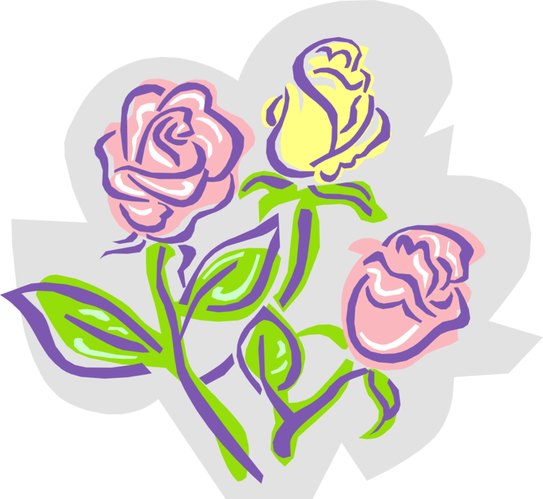Vector Illustration of Rose Garden Flower Perennial Plant Roses