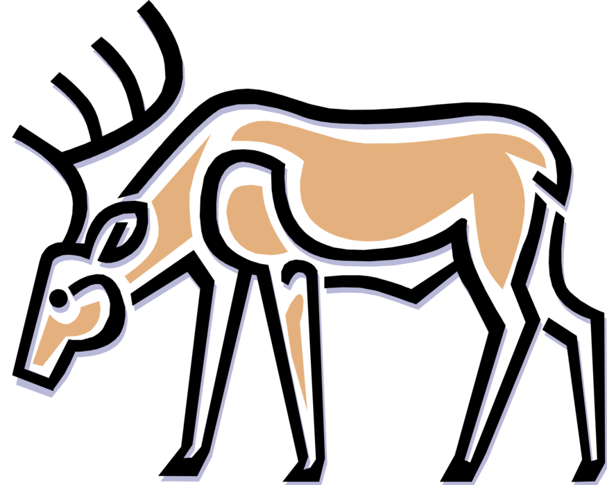 Vector Illustration of North American Land Mammal Elk