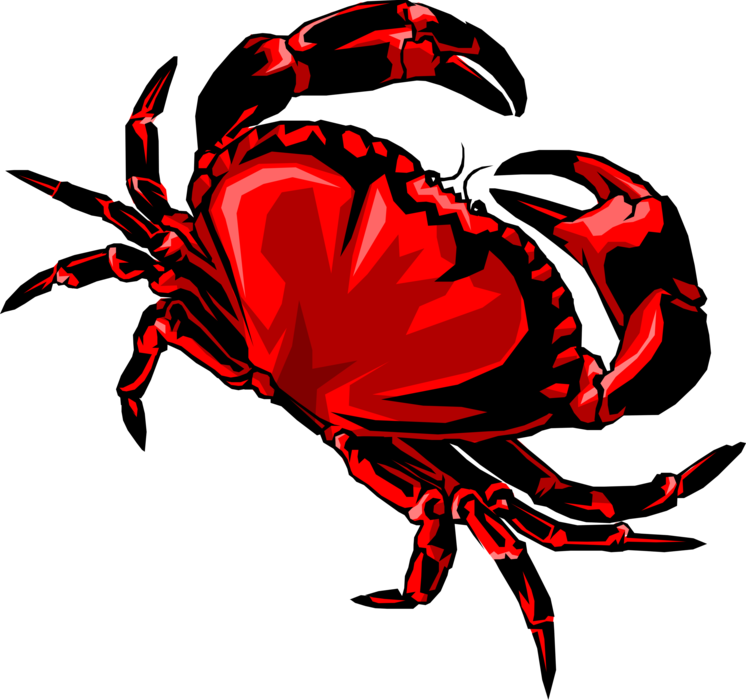 Vector Illustration of Decapod Marine Crustacean Crab with Claws Seafood