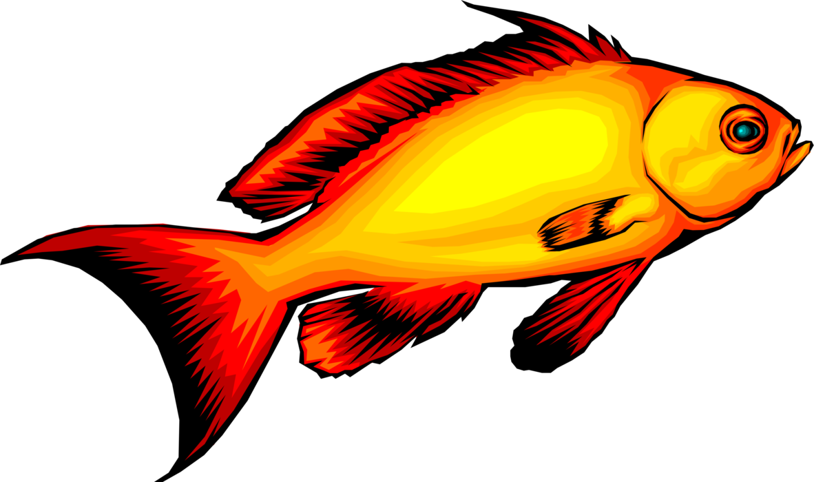 Vector Illustration of Colorful Exotic Aquarium Tropical Goldfish