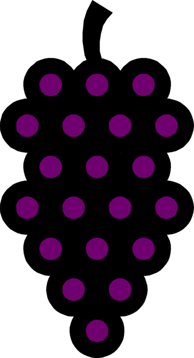 Vector Illustration of Edible Grapevine Fruit Grapes
