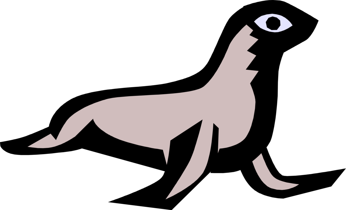 Vector Illustration of Harbor Seal Waddles