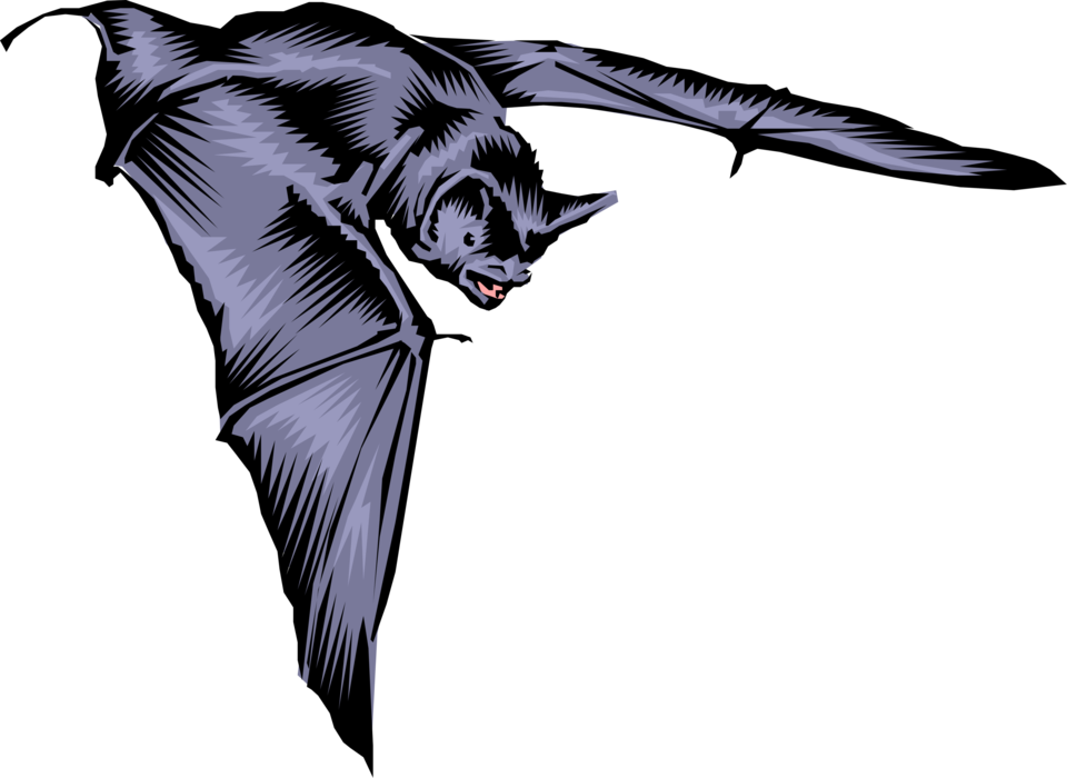 Vector Illustration of Webbed Wing Bat Sweeps Through the Air in Search of Insects