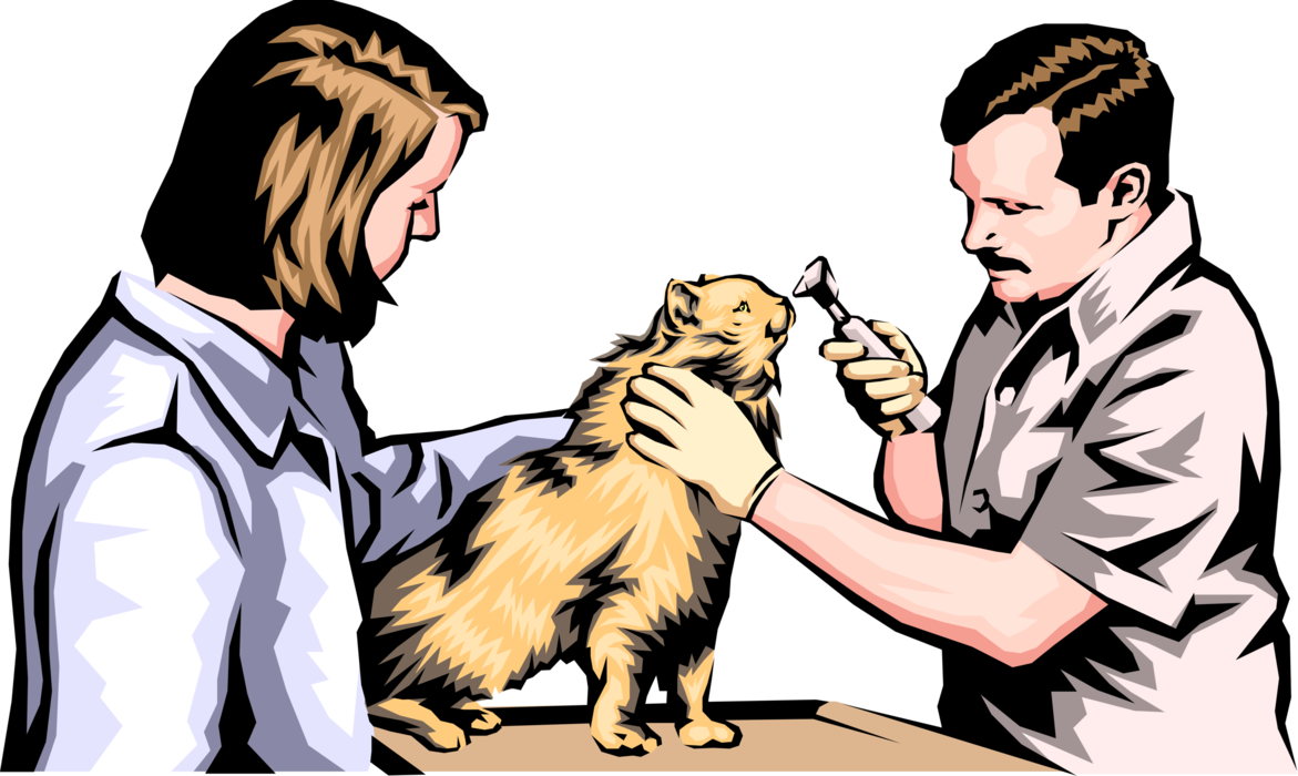 Vector Illustration of Veterinarian Administers Treatment to Patient Family Pet Cat