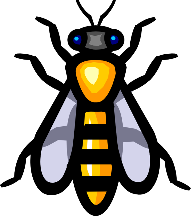 Vector Illustration of Yellow Jacket or Predatory Wasp Insect