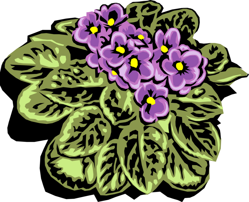 Vector Illustration of Garden Violet Flower Plant