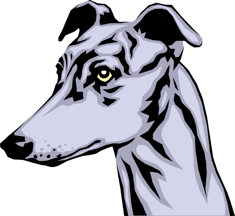 Vector Illustration of Greyhound Race Dog Head