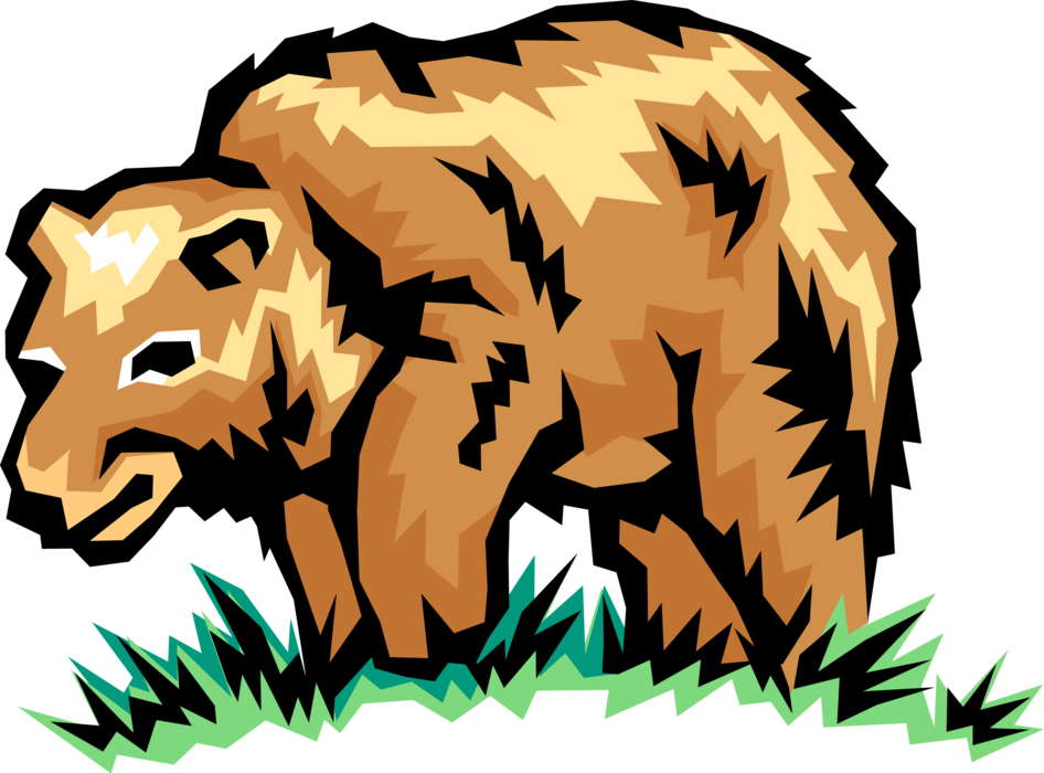 Vector Illustration of Brown Bear in Green Grass