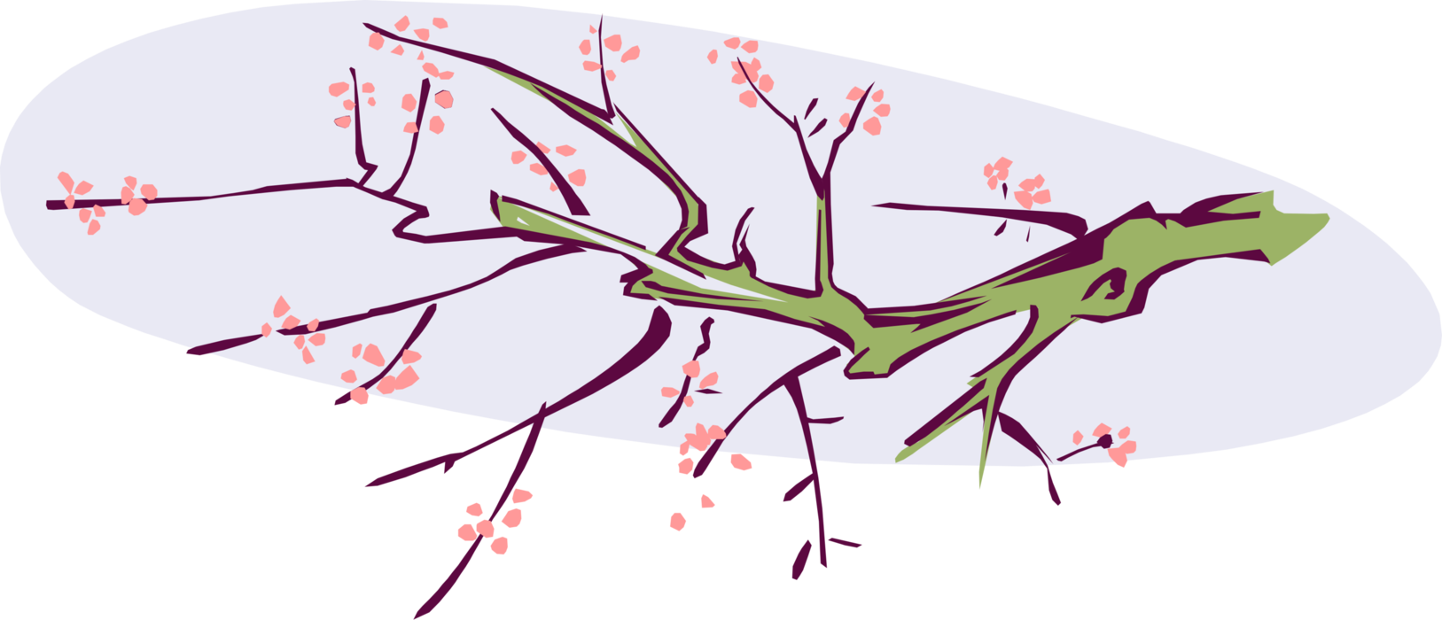 Vector Illustration of Deciduous Tree Branch with Flower Blossoms