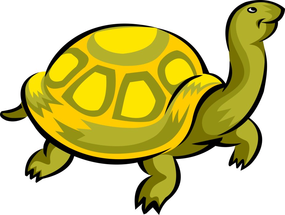 Vector Illustration of Slow-Moving Terrestrial Reptile Tortoise or Turtle