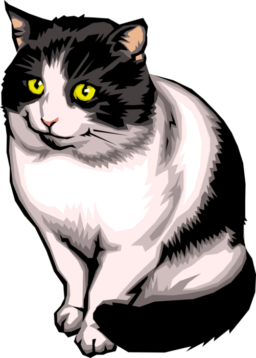 Vector Illustration of Small Domesticated Family Pet Kitten Cat with Yellow Eyes