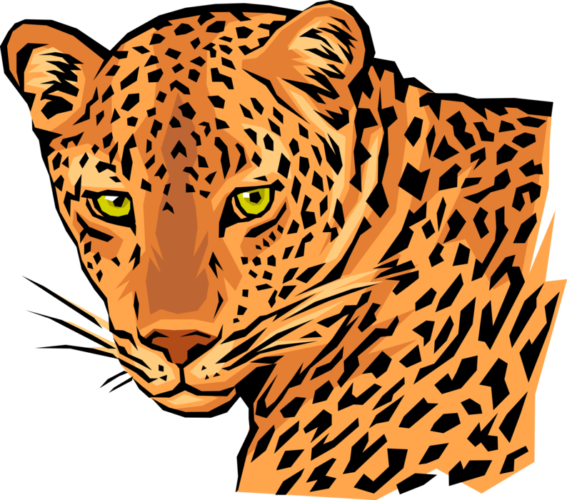 Vector Illustration of Large African Carnivore Leopard Head Turned