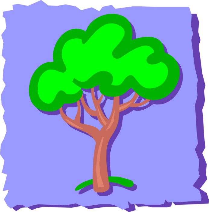 Vector Illustration of Deciduous Forest Tree in Summer