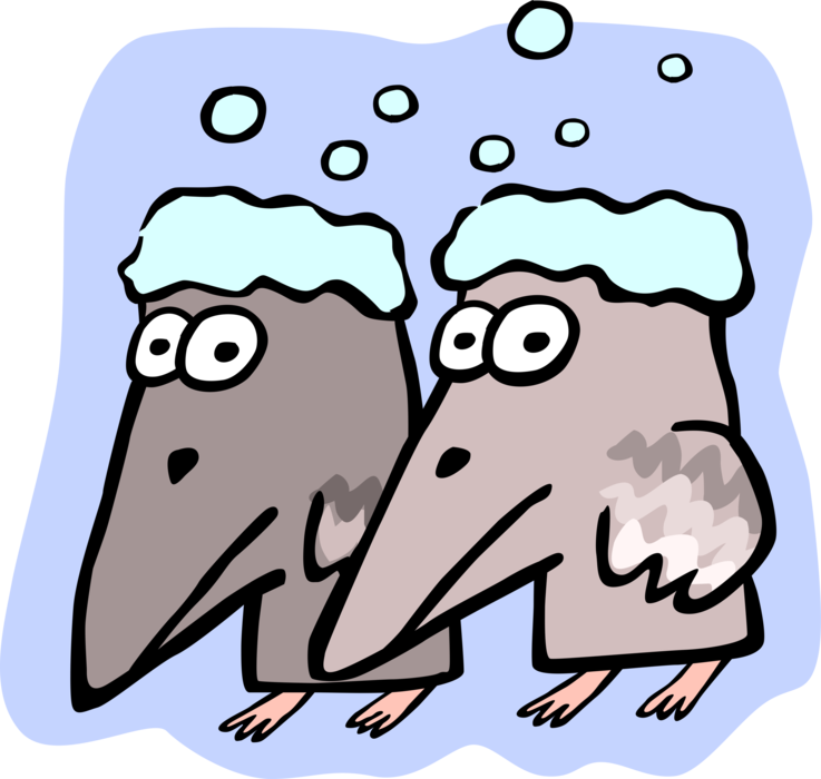 Vector Illustration of Frosty Crows with Snow on Heads