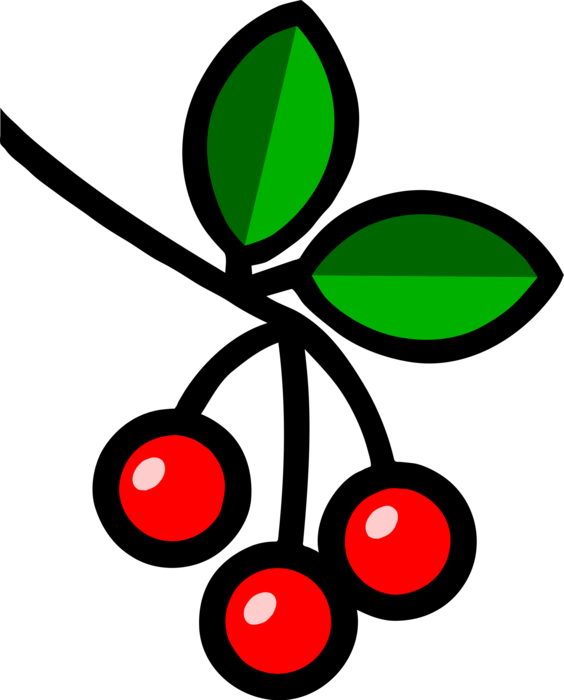 Vector Illustration of Fruit Sweet Cherries