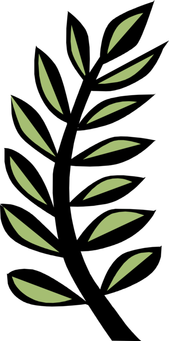 Vector Illustration of Fern Vascular Botanical Plant Reproduced by Spores Leaves