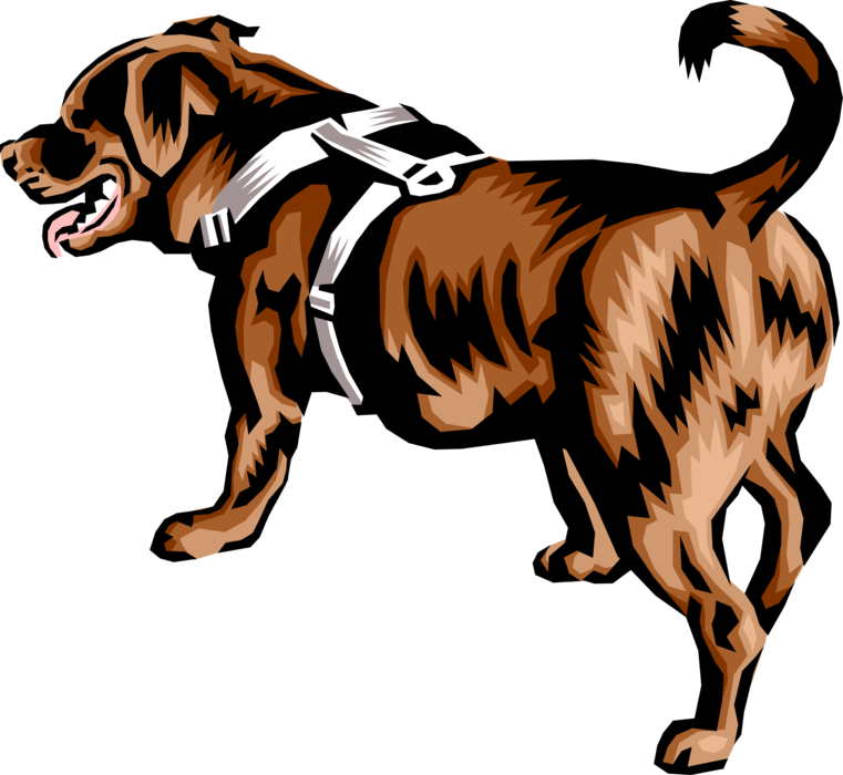 Vector Illustration of Newfoundland Rescue and Lifesaving Dog