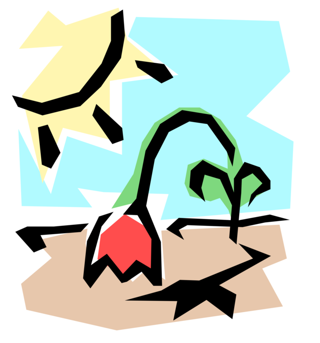 Vector Illustration of Sun-Wilted Flower Dying from Intense Heat