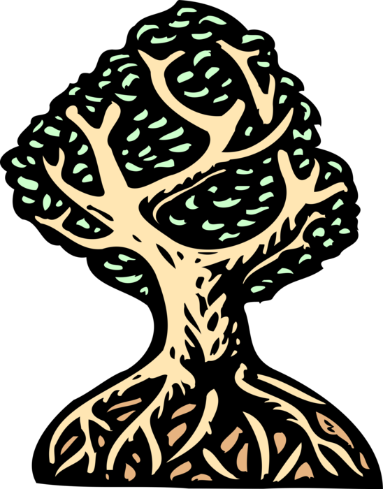 Vector Illustration of Deciduous Forest Tree of Life with Branches, Leaves and Root System