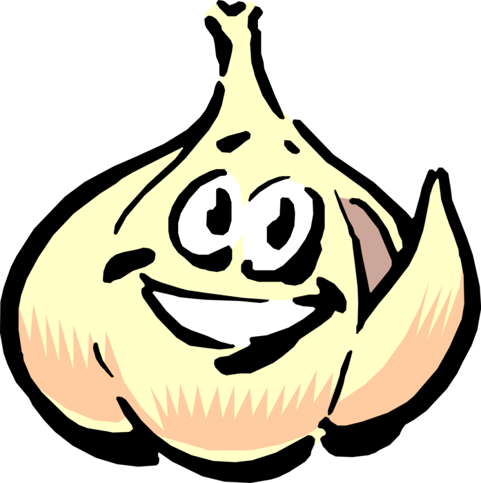 Vector Illustration of Anthropomorphic Edible Pungent Culinary Bulb Plant Garlic