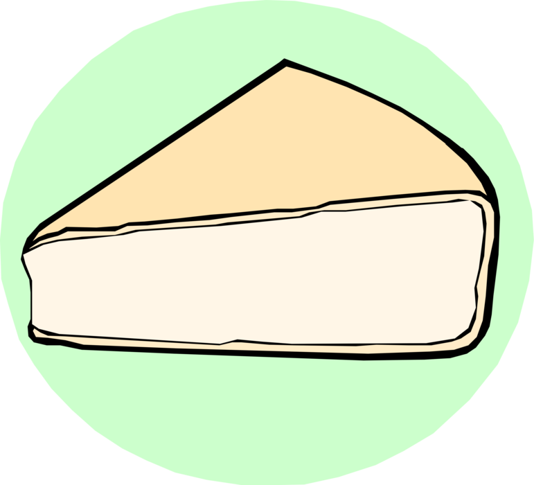 Vector Illustration of French Camembert Cheese Food Derived from Dairy Milk