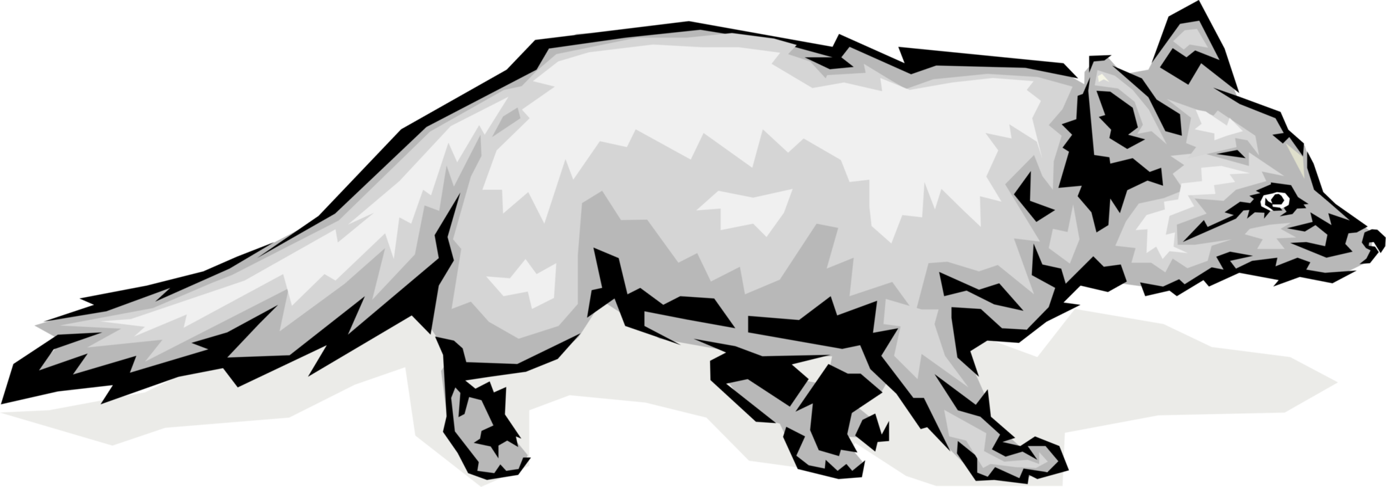 Vector Illustration of Omnivorous Mammal Grey Fox