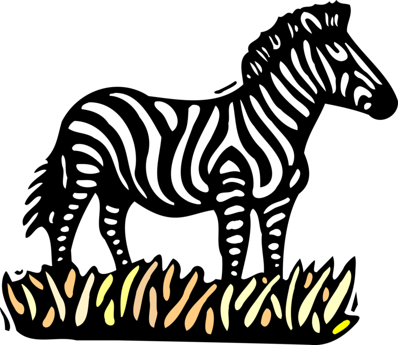 Vector Illustration of African Zebra Horse