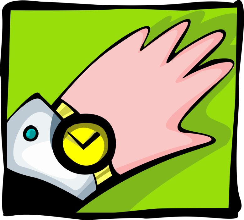 Vector Illustration of Hand with Wristwatch Tells Time