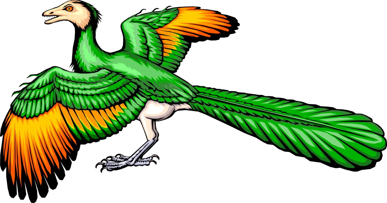 Vector Illustration of Prehistoric Feathered Bird Dinosaur from Jurassic and Cretaceous Periods