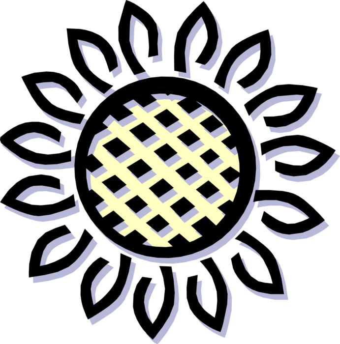 Vector Illustration of Sunflower Flower and Seeds