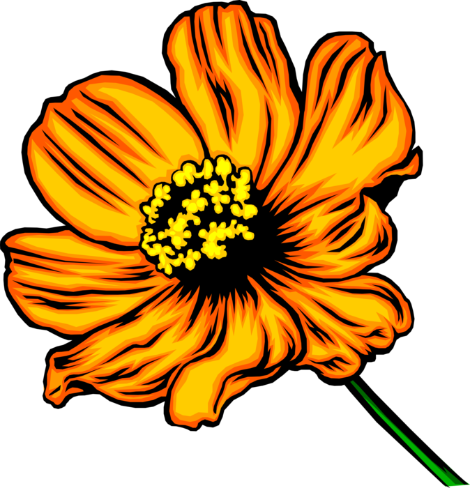 Vector Illustration of Orange Flower Blossom