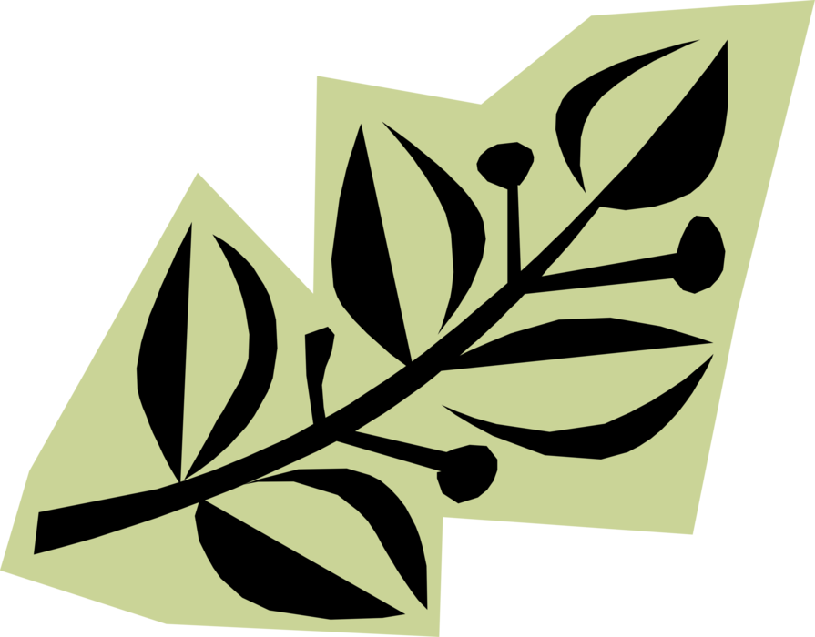 Vector Illustration of Garden Botanical Plant Leaves